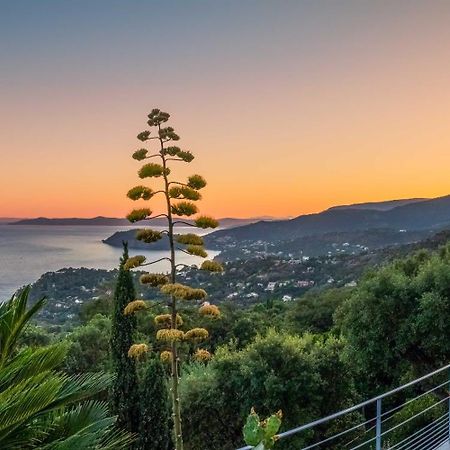 Vistazur Luxueux Appartement Avec Terrasse Et Piscine Rayol-Canadel-sur-Mer Exterior foto