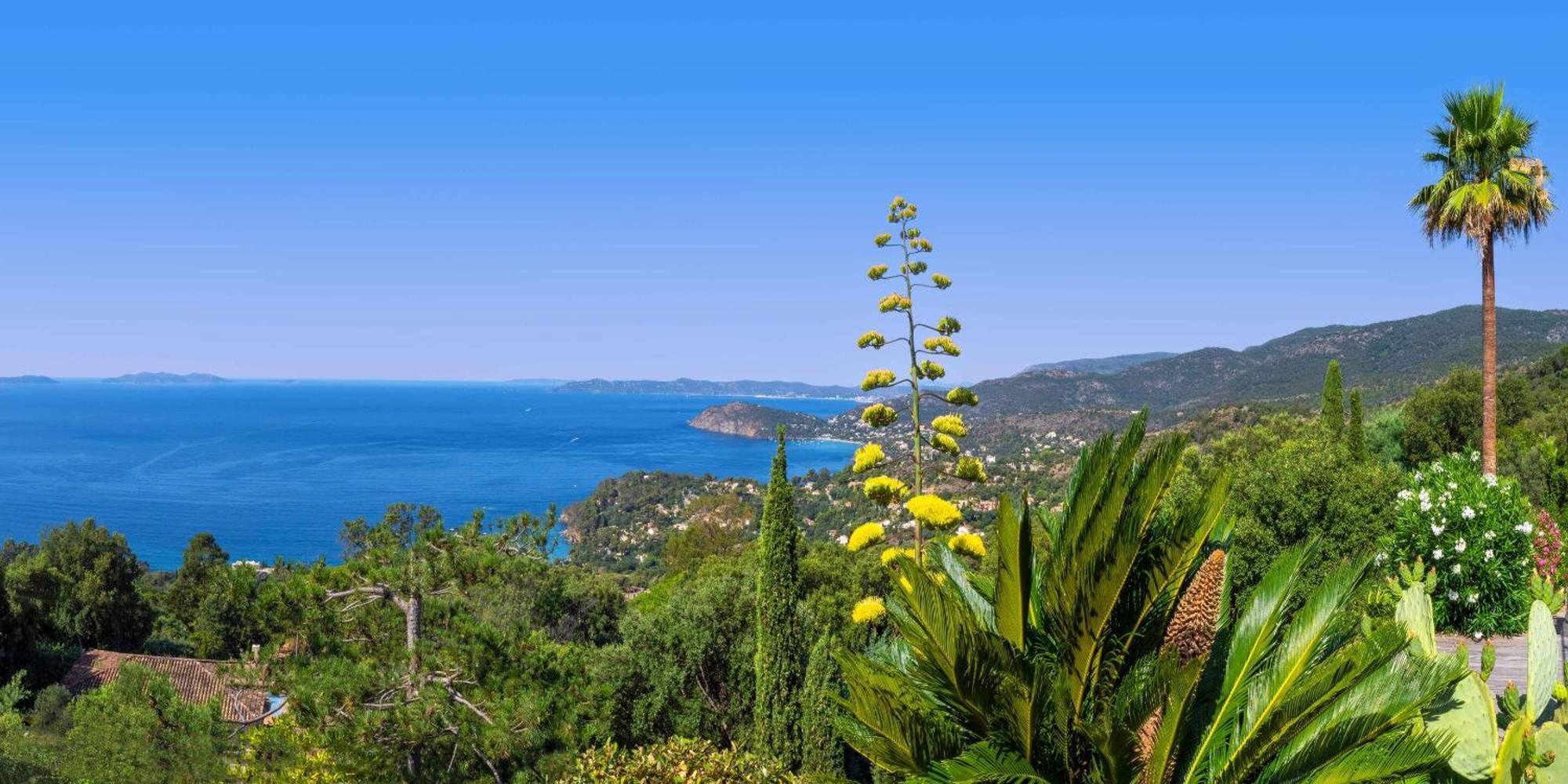 Vistazur Luxueux Appartement Avec Terrasse Et Piscine Rayol-Canadel-sur-Mer Exterior foto